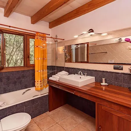 Lleida Valero By Sealand